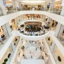 현대백화점 파코라반베이비 이미지