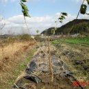 하계농장 이미지