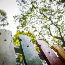 베스트유치원 이미지