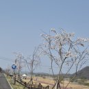 남강정비 이미지