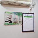 영암 독천 낙지거리_청하식당 솔직후기