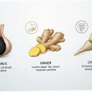 생강약국 이미지