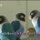 모란농장 이미지