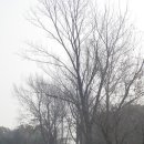 아름드리목장 이미지