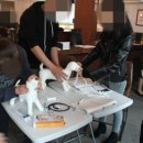 원당동물병원 이미지