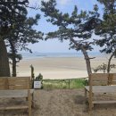 장삼포민박 이미지