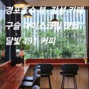 달빛호수 힐링하우스 | [달빛491커피] 경포해변, 경포호수뷰를 동시에 볼 수...돈 내산 솔직 방문 후기 : 강릉 카페, 강릉 바다...