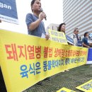 이강인농장 이미지