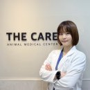 24시아마존동물병원 네이버블로그