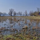 두물머리 화장실 이미지