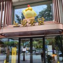 노랑통닭 강남구청점 이미지