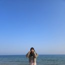 청사포 감나무집