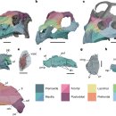 테논토사우루스 | 유럽에서 사라진 공룡 미스터리를 풀다. 하지만...