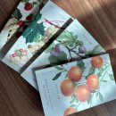 유한회사 영웅메디컬 | 월간 독후감 : 1월