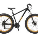 림바이크 이미지