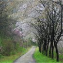 강변의 수채화 이미지