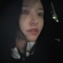 대호여관 | 벚꽃 좀 친다던 대구 다녀왔다카이