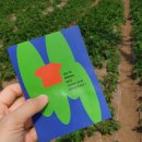 에스오일 옆 횡단보도 이미지