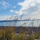 사초 해변공원 이미지