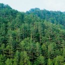 진(GENE)21 이미지