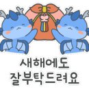 포동이 펫살롱 이미지