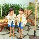 코지베어 이미지