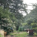 지당골식당 이미지