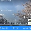 필로스 | [라운딩] 필로스cc 서 → 남 후기 ('26.05.10)