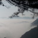 달보드레 이미지