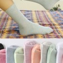 원알엠피티니스 이미지