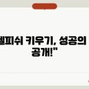 더피쉬디자인