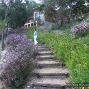 율리 휴양촌 이미지