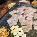 대패박사 이미지