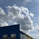 365영통탑약국 | [수원/용인/화성/디파인워크샵] 위아위스 래디칼 프로2, 래디칼 프로 XP2-기술적 진화의 방향