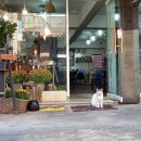 바느질을 하다 이미지