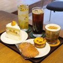 비마이문 이미지