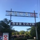 대청마루한의원 네이버블로그