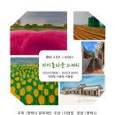 마이스케치 이미지