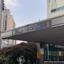 감정선프로젝트 서울대입구점