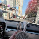 올리브비즈 | 본식 드레스 투어 실크맛집 비즈맛집 (렌느브라이덜, 에델린꾸뛰르, 제이스포사) 솔직후기 및 준비물
