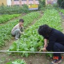 비산농장 이미지