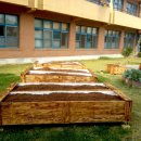 학현 초등학교 이미지