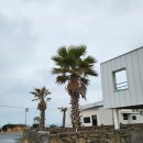 스테이데이앤데이(Stay day&Day) 이미지