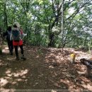 내곡동428 이미지