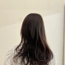 헤어셋틀러 이미지