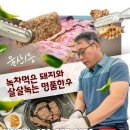 보성녹돈 이미지