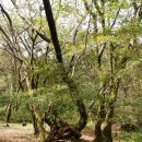 사랑의연리근 이미지