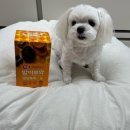 (주)하림 정읍사료공장 | 밥이보약 영양톡톡 눈 30개입/ 반짝이는 눈 사료 급여 후기