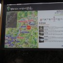자장리 Daum카페
