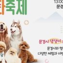 반려동물